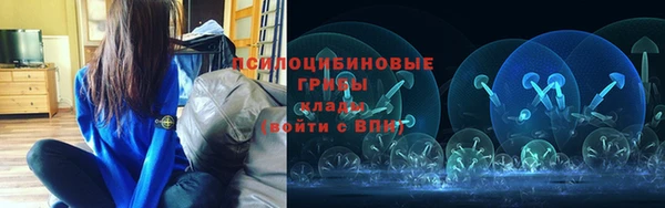 a pvp Богданович