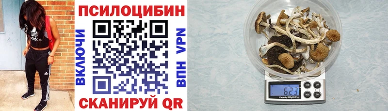 Псилоцибиновые грибы мицелий  kraken онион  Надым 